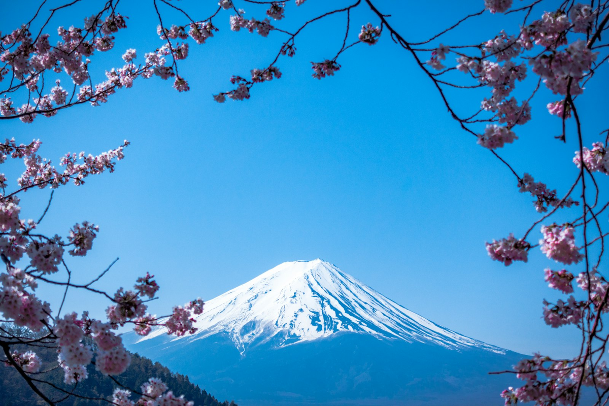 Ekspedisi Fuji